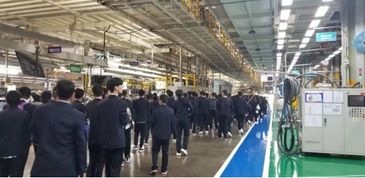 專業實踐拓寬視野 交通管理學院19級汽車服務工程專業學生走進東風日產鄭州工廠與軟件開發基地